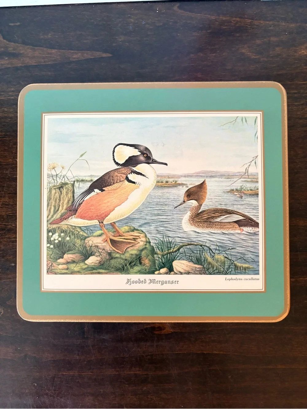 Set of 4 Vintage Pimpernel Waterfowl Print Cork Mats England
